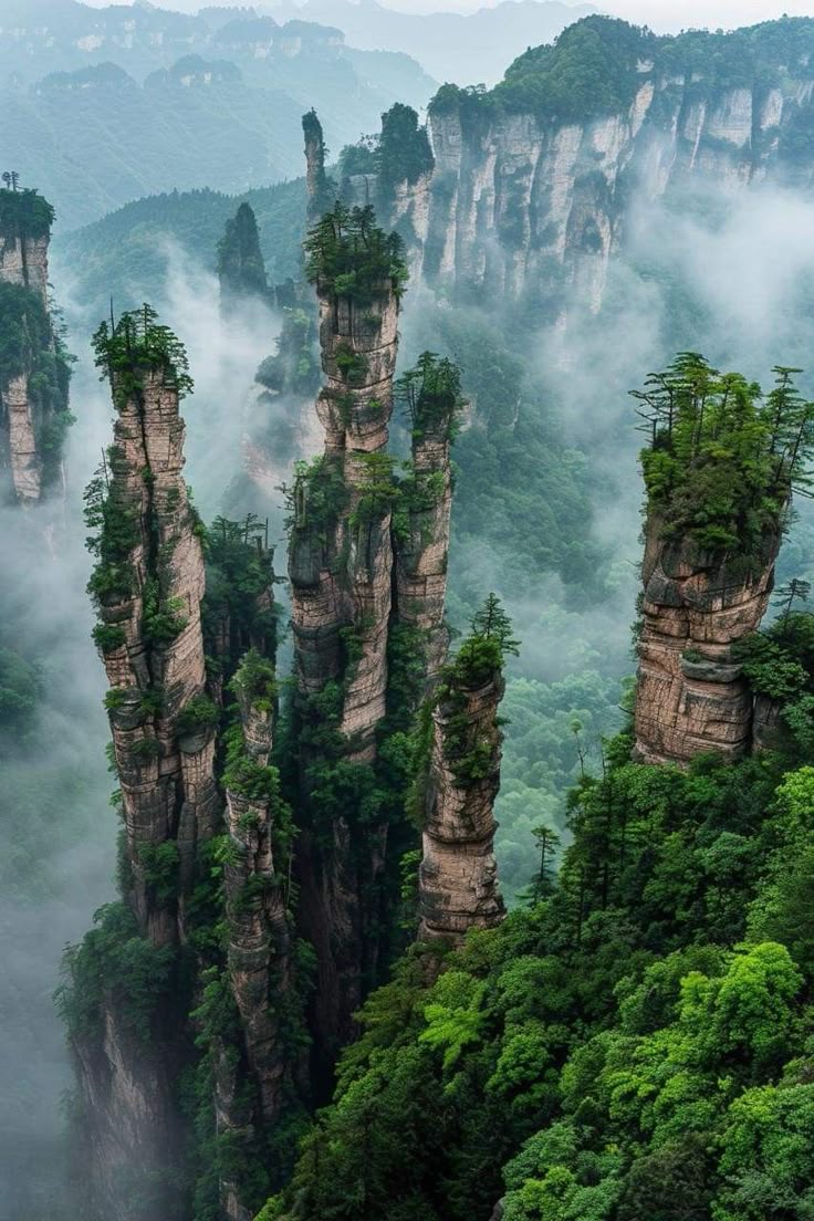 CHINA DISCOVERY TOUR : BEIJING • ZHANGJIAJIE • SHANGHAI