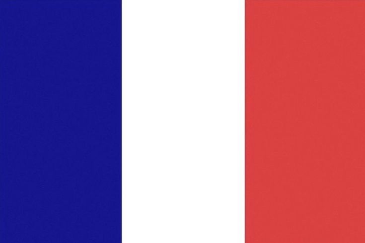 FRANCE Flag